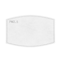 Flat PM 2.5 Filters Face Mask Standard / 10-Pack Unbelts