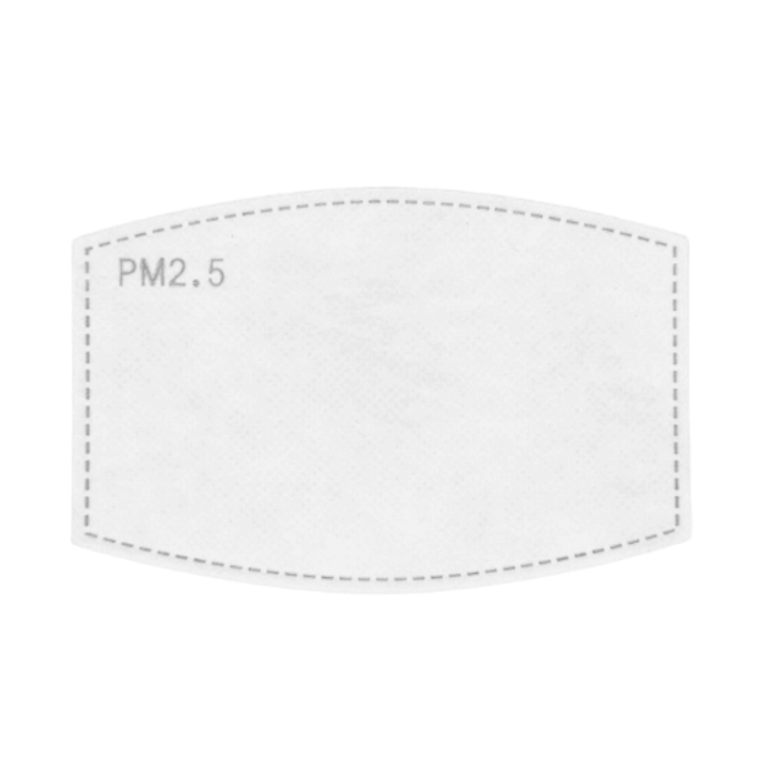 Flat PM 2.5 Filters Face Mask Standard / 10-Pack Unbelts